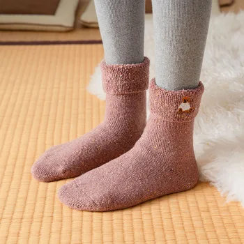 2020 Naiste villased sokid Jaapani keskel toru -, plüüš-soe tiheneb naiste sokid kandma Sügis-talv värviga sokk