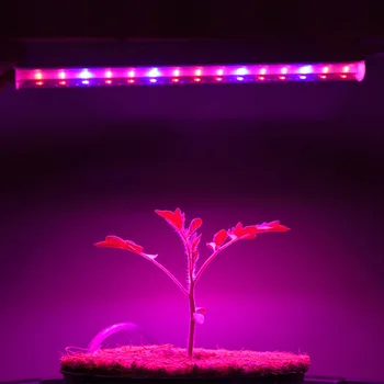 30cm Led Grow Light AC 85-265V ELI ja USA Pistik Uus Täieliku Spektri T5 Toru phytolamp taimede kasvu Telk lill seemikute kasvada lamp