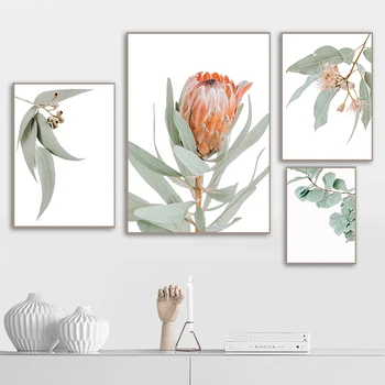 Austraalia Taimede Lehed Kuningas Protea Lilled Seina Art Pildid Lõuend Maalid, Plakatid ja Pildid elutuba Kodu Dekoratiivsed