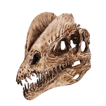Dinosaurus Teised Mudeli Dinosaurus Kolju Filmi Rekvisiidid Decor Fossiilsete Dinosaurus Skelett, Jurassic Garden Teenetemärgi Vaik Simulatsioon
