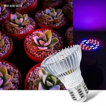 E14 Taime Lamp LED Full Spectrum E27 Kasvada Valguse 30W 50W 80W Kasvu LED Kasvuhoone Valgustus 18W 28W LED Pirnid Seemikute Füto Lamp
