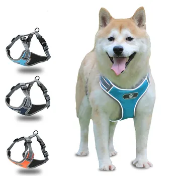 Keskmise suure koera rakmed krae perro grande collares para perros obroza dla psa honden halsband pirukad akcesoria guinzaglio roo