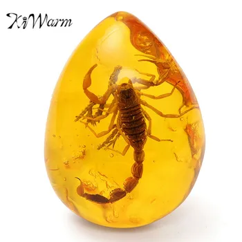 KiWarm Loomulik Scorpions Putukate Kaasamise Amber Baltic Gemstone Ripats Kaelakee Kampsun Dekoratsioonid, DIY Ornament, Käsitöö, Kingitus,