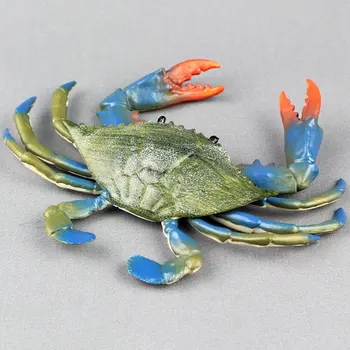 Mere Loomade Mudel Teenetemärgi Hariduslik Mänguasi Joonis Kodu Simulatsiooni Krabi Tahke Kingitused Kogumine Lapse Õppimine Plastikust Realistlik