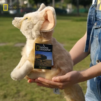 National Geographic 10.5