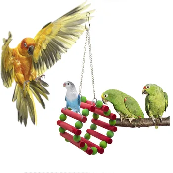 Papagoi mänguasi, bird mänguasi, ring kiik, rõngas-kujuline lõbustus-ratas