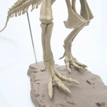 Suur Dinosaurus Fossiilsete Kolju Loomade Mudel Mänguasjad Türannosaurus rex Koguda skelett mudel sisustustarbed teenetemärgi