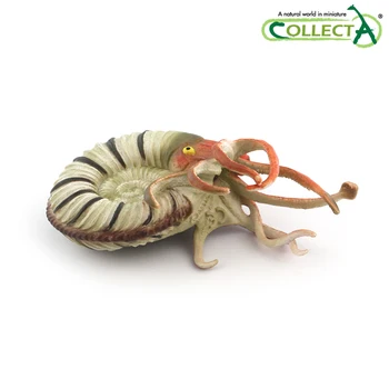 Uute tulijate 2020 CollectA Pleuroceras Ammoniit Eelajalooline mereorganismide Loomade Mudel klassikaline mänguasjad poistele 88902